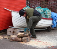 Men's Shed Mental Health