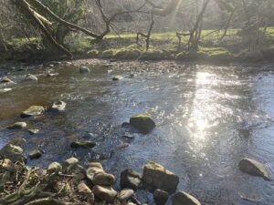 Water of Leith