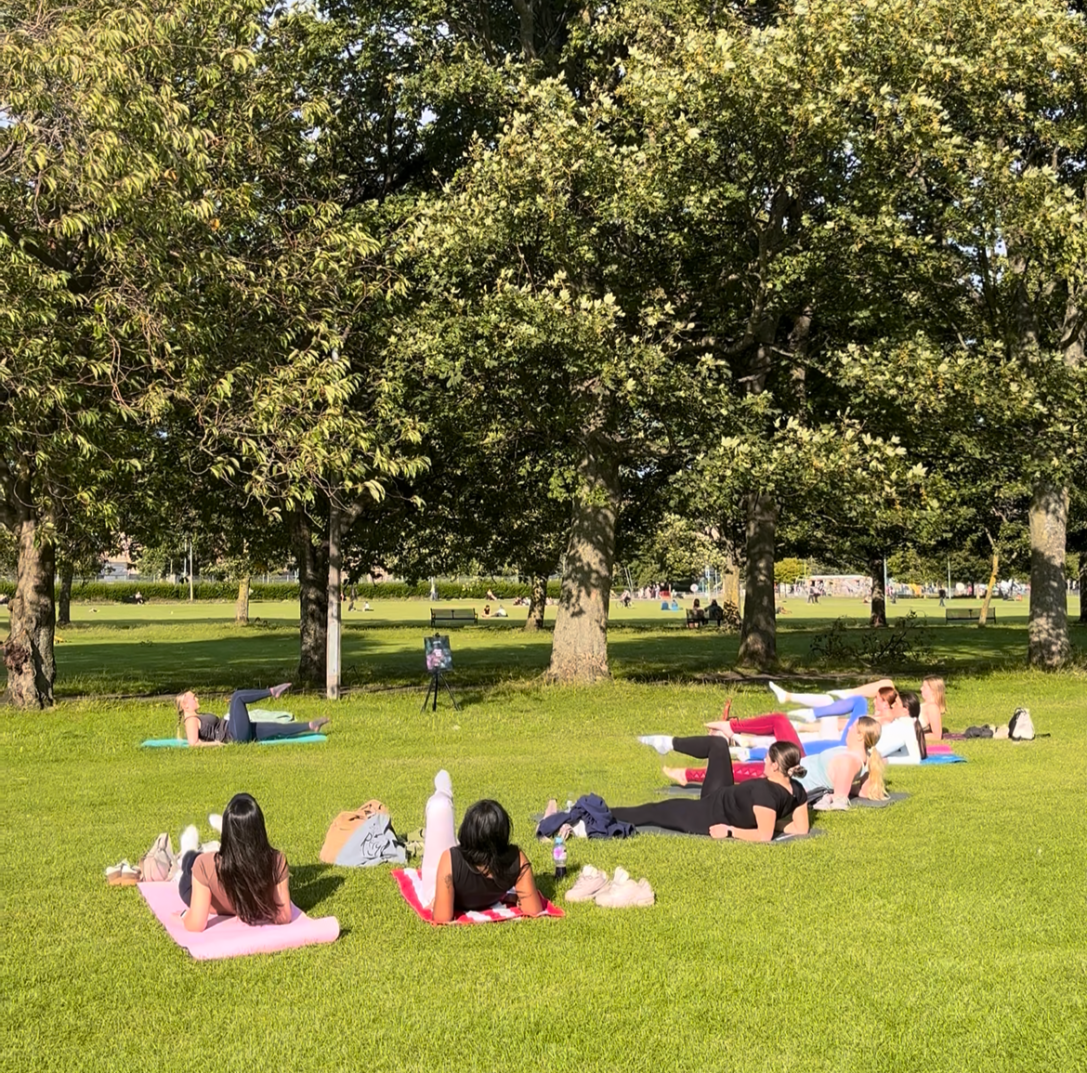 Go and Glow in the Meadows